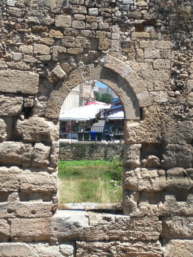 A Ficurinia Appartement
